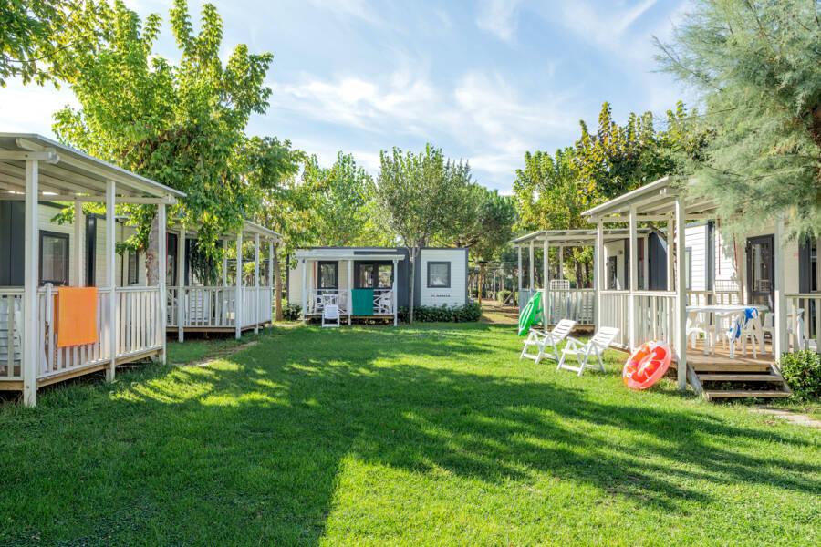 ADRIA XLINE (SAB-SAB)